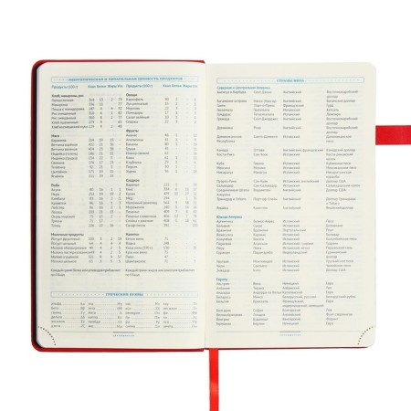Diary of a low -up A5, 136 Premier sheets, solid cover, artificial leather, lies, magnetic refuge, beige block 70 g/m2, red-9