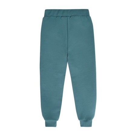 Pants for boys, height 128 cm, sea wave color-1