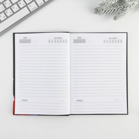 New Year. Diary in the solid cover “Cell and Cozy in the New Year” A5, 80 sheets-1