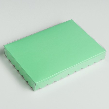 Box for cookies, mint, 22 x 15 x 3 cm-1