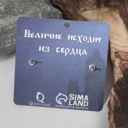 Серьги «Печать Велеса», цвет серебро-3