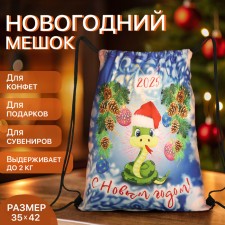 New Year 2025. New Year's bag for gifts on the cord 