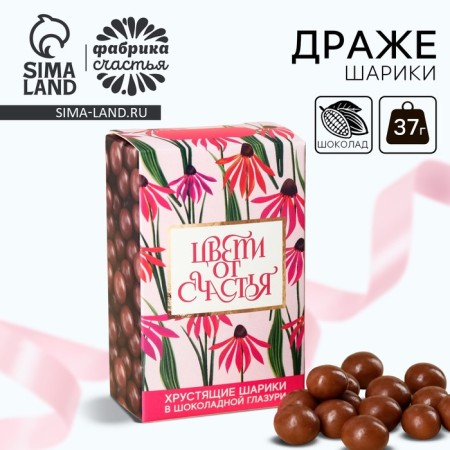 Chocolate balls "Blow with happiness", 37 g.