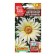 Flowers of Gatsaniya "Balcony Mega Vanil", 4 pcs