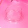A cage for rodents "Pigzon", with a filling, 44.5 x 31 x 36.5 cm, pink