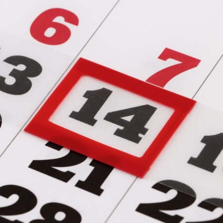 Quarterly calendar, trio "Symbol of the year - 2" 2025, 73 x 29 cm-2