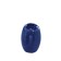 SHINY toothbrush cup, blue