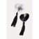 Pastis in the form of hearts Erolata Lingerie Collection, with brushes, silver-black color