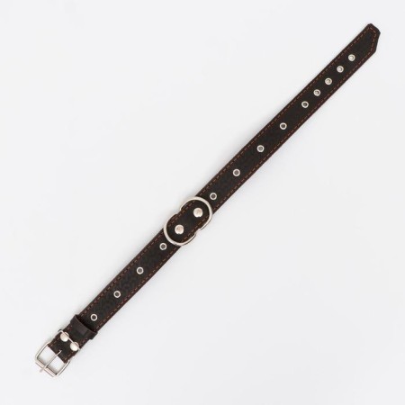 Collar leather reinforced with a kapron with a half-ring, 62 x 3.5 cm, Osh 33-60 cm, brown-2