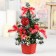Christmas tree decor "Snow" 20 cm, red