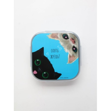 Lunch - boxing with sections and spoon "Cats", 17.8 x 17.8 x 7 cm-2