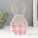 Coramics box "Bunny in an egg in a cell, with a flower" gray-red 11.8x7.2x20.8 cm