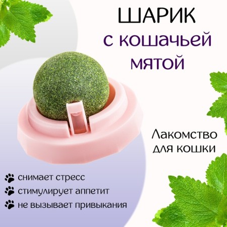 A toy for cats from cat mint "rotating ball" based on 5 x 4 cm, pink