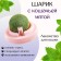 A toy for cats from cat mint "rotating ball" based on 5 x 4 cm, pink