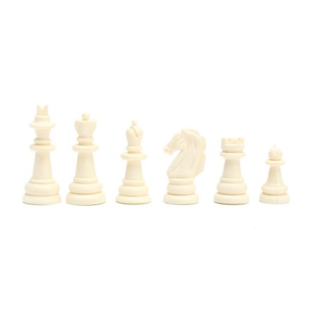 Magnetic chess, board 24.5 x 24.5 cm-2