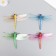 Magnet Plastic "Dragonfly" Lyndenia "9.5x13 cm mix