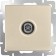 Twarot terminal WL11-TV, SHAMPAN color