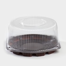 Cormore is a plastic disposable with a connective lid for 30, 22 × 10 cm, the color is transparent