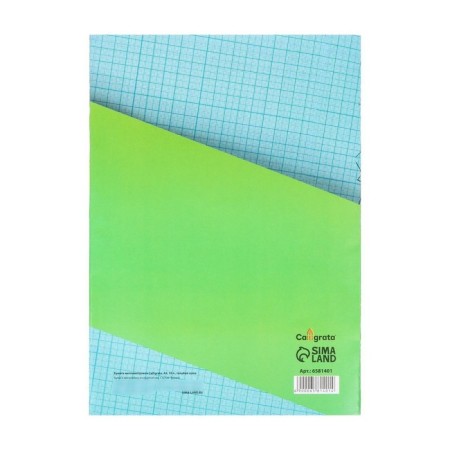 Large-scale-cordial A4 paper 10 sheets of Calligrata, blue mesh-2