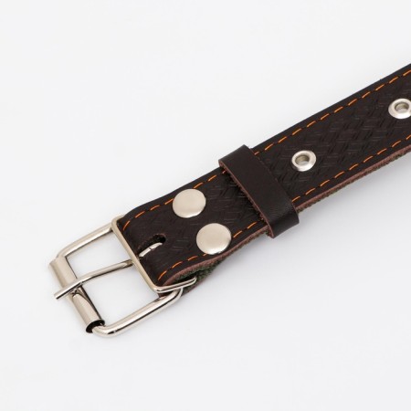 Combined dimensionless collar, leather/tarpaulin, 65 x 3.5 cm, Osh 31-61 cm, brown-4