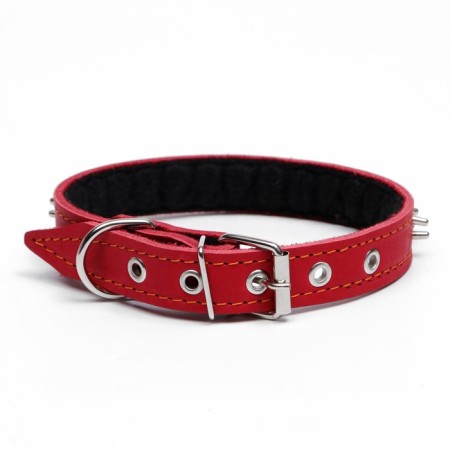 Leather collar on synthetic winterizer "Hedgehog", 56 x 2.5 cm, Osh 35-45 cm, red-1