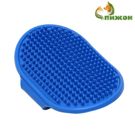 ORDENT-ORDOM, 12.2 x 8 cm, blue