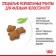 Dry food RC Kitten Sterilized for sterilized kittens, 2 kg