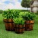 Set of wooden pots, round 18x16x12cm