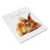 Universal diary for grades 1-11, "hare", solid cover 7BC, glossy lamination, 40 sheets