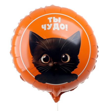 Flaged balloon 18 “Cat. You are a miracle”, a circle, a set of 50 pcs.-1