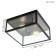 Charterhouse lamp, 1x60W E27, black color