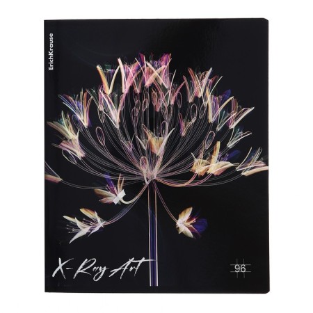 A notebook of 96 sheets in the Erichkrause "X-Ray Art", holographic lamination, an offset block 100%, mix-9