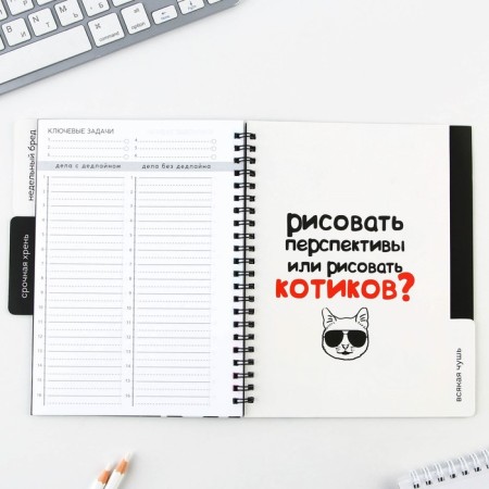 Planing with dividers "Expressor", soft cover, A5 format, 50 sheets-8