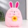 Pigpine Plastic "Bunny - Pukhlyash with heart/flower" MIX 16x15.5x23 cm