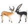 A set of figures "World of Wild Animals: Antelopes Jayran and Garn", 2 figures