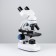 Microscope Laboratory multiplicity 40,100,400, backlight