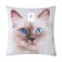 Decorative pillow "Blue -eyed"