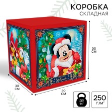 Gift Folder Fairy Tale New Year, 30x30x30 cm, Mickey Mouse