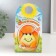 Growing gift Eco -Zhizhivchik "Sunny" Mix