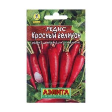Seeds Radis 