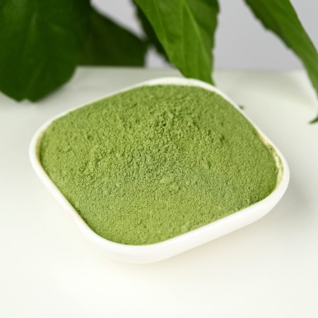 Witgrass + Barleygrass, in powder, fiber source, weight loss, 100 g.-1