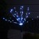 Garden lamp on the solar battery "Dandelion" 4 pcs., 78 cm, 320 LED, glow white glow