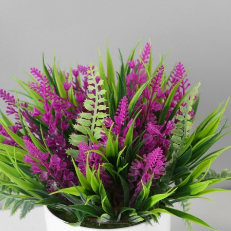 Bonsai in the Lavender Galant pot 11x14 cm, mix-1