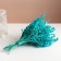 Set of dried flowers "chandra", banch length 40 (+/- 6 cm), turquoise
