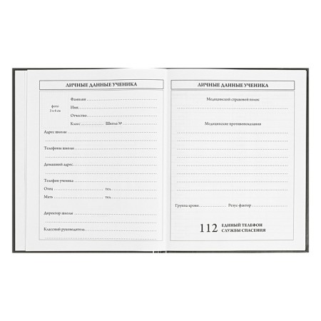 Universal Diary Grade 5-11, 48 sheets "Bear toxic", matte lamination, block 65g/m2-4