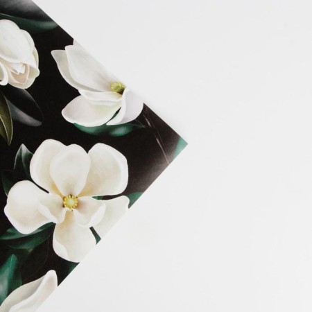 Glossy packaging paper "Magnolia", 70 x 100 cm-2