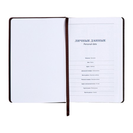Lotted diary, A5, 140l, Cage, region, style, dark gray-4