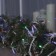 Garland "thread" 10 m, IP65, UMS, white thread, 100 LED, glow of multi, 220 V