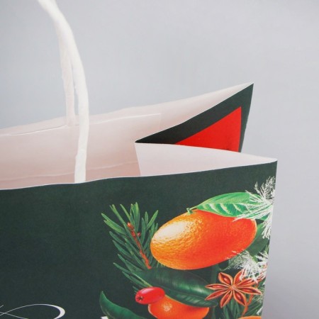 Package Gift Craft "New Year's Eve", 25 x 22 x 12 cm, New Year-4