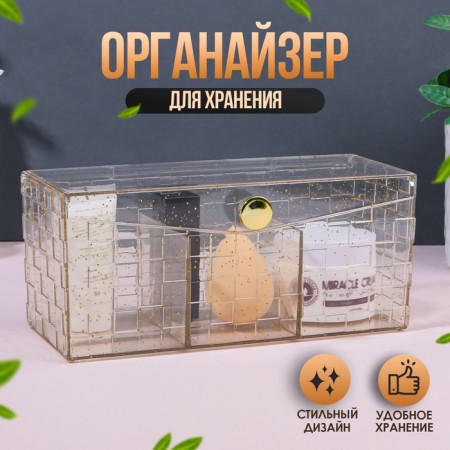 SHINE organizer for storage, with a lid, 3 sections, 21.5 × 8.8 × 9.5 cm, the color is transparent/golden